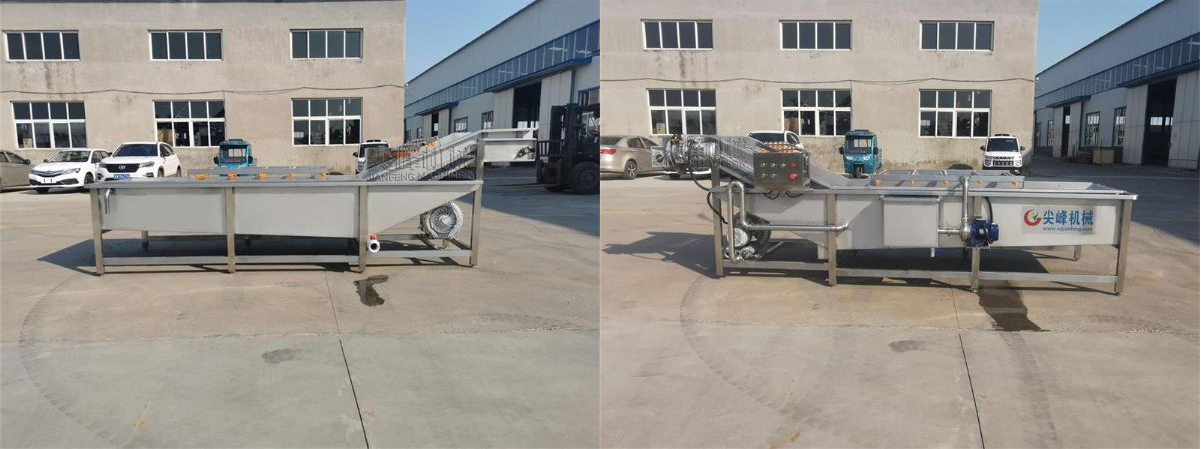 叶菜类喷淋气泡清洗机器设备